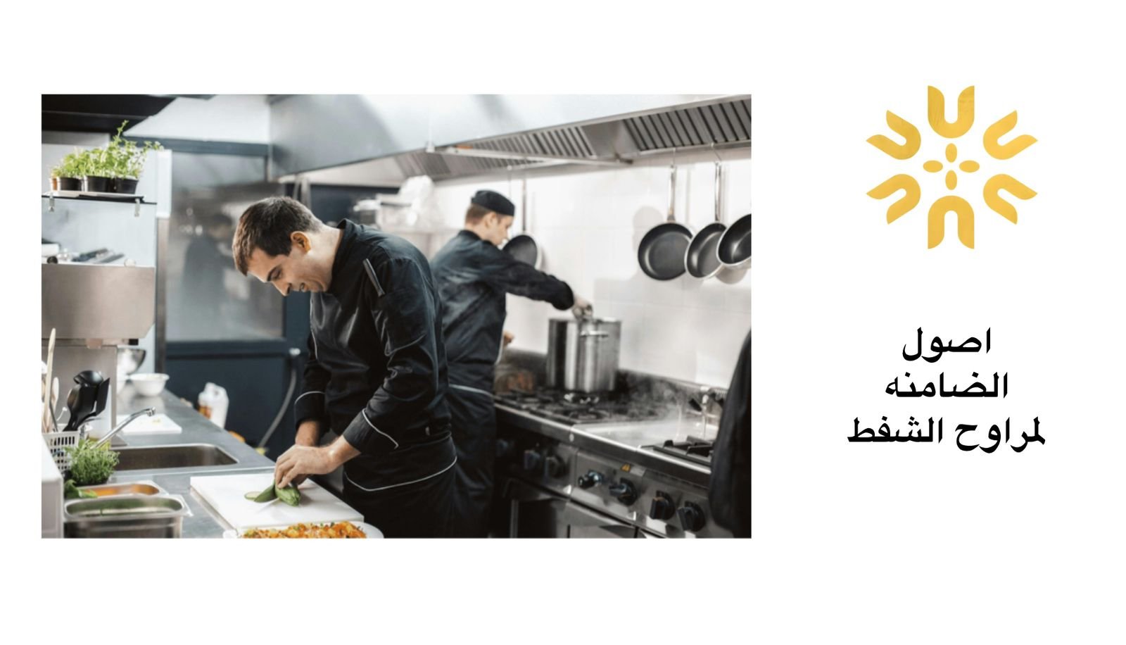 توريد مراوح مركزية عالية الجودة